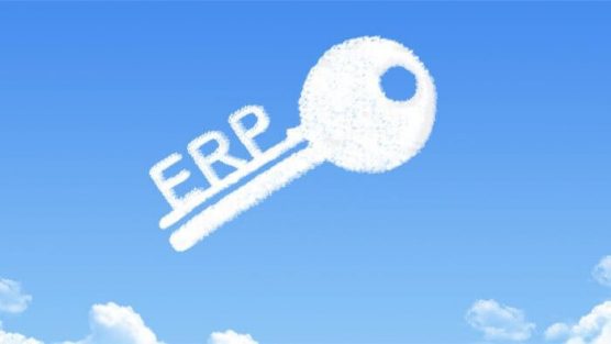 Por quê investir em um ERP Online na crise?
